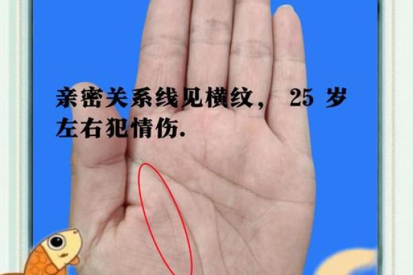 手相揭秘:智能线预示你的智慧与未来 手相揭秘:智能线预示你的智慧与未来