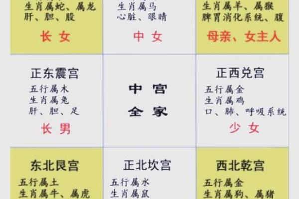 面相揭秘：宫位布局，财运亨通的神秘密码