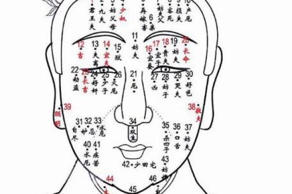 痣相解读：解锁人生运势密码