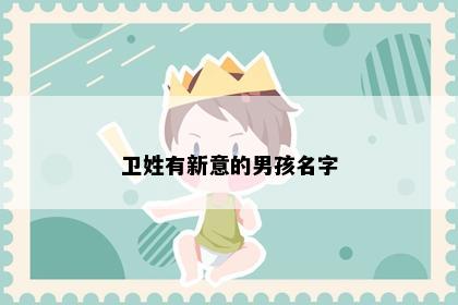 卫姓有新意的男孩名字