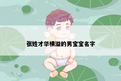 张姓才华横溢的男宝宝名字