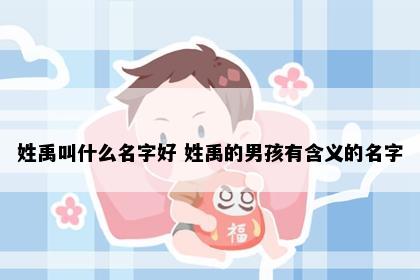 姓禹叫什么名字好 姓禹的男孩有含义的名字