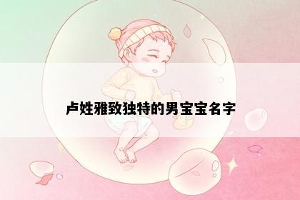 卢姓雅致独特的男宝宝名字