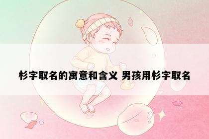 杉字取名的寓意和含义 男孩用杉字取名