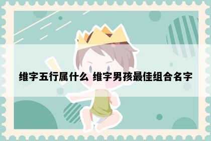 维字五行属什么 维字男孩最佳组合名字