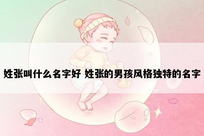 姓张叫什么名字好 姓张的男孩风格独特的名字