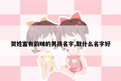 贺姓富有韵味的男孩名字,取什么名字好