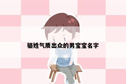 骆姓气质出众的男宝宝名字