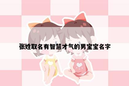 张姓取名有智慧才气的男宝宝名字