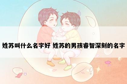 姓苏叫什么名字好 姓苏的男孩睿智深刻的名字