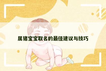 属猪宝宝取名的最佳建议与技巧