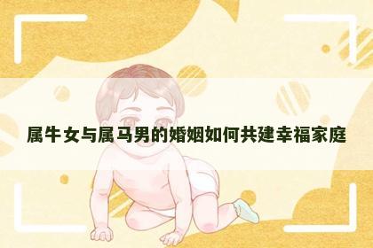 属牛女与属马男的婚姻如何共建幸福家庭