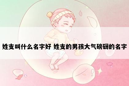 姓支叫什么名字好 姓支的男孩大气磅礴的名字