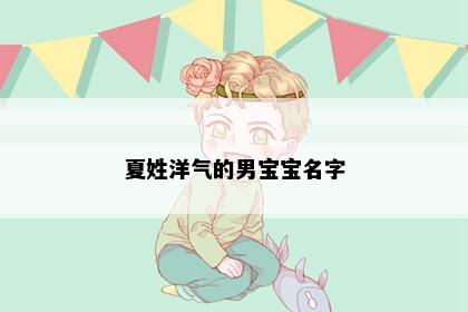 夏姓洋气的男宝宝名字