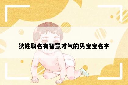 狄姓取名有智慧才气的男宝宝名字