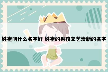 姓崔叫什么名字好 姓崔的男孩文艺清新的名字