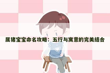 属猪宝宝命名攻略：五行与寓意的完美结合