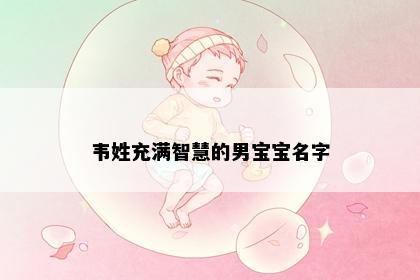 韦姓充满智慧的男宝宝名字