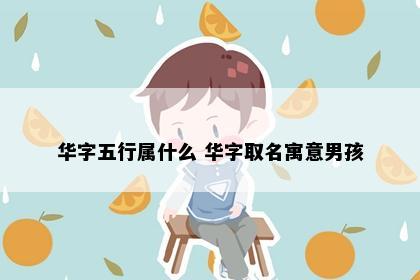 华字五行属什么 华字取名寓意男孩