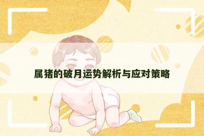 属猪的破月运势解析与应对策略