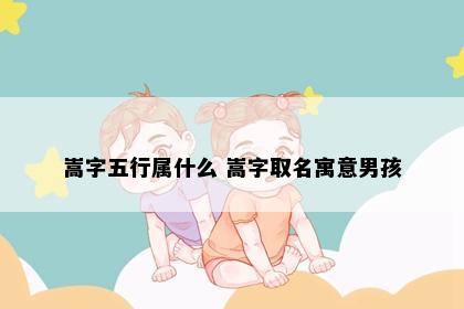 嵩字五行属什么 嵩字取名寓意男孩
