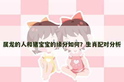属龙的人和猪宝宝的缘分如何？生肖配对分析