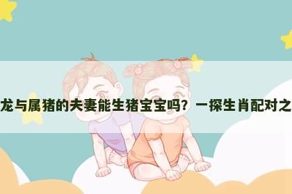 属龙与属猪的夫妻能生猪宝宝吗？一探生肖配对之谜