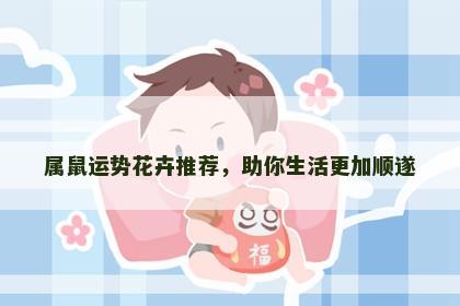 属鼠运势花卉推荐，助你生活更加顺遂