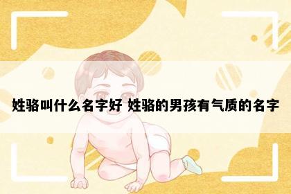 姓骆叫什么名字好 姓骆的男孩有气质的名字