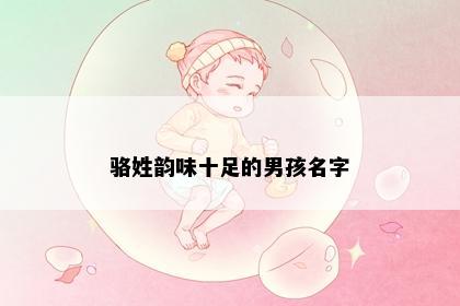 骆姓韵味十足的男孩名字