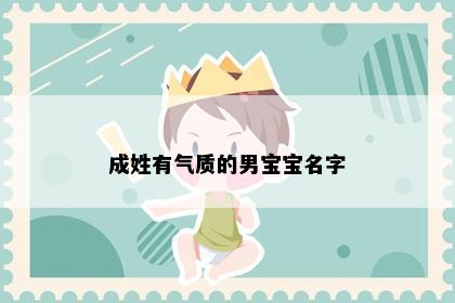 成姓有气质的男宝宝名字