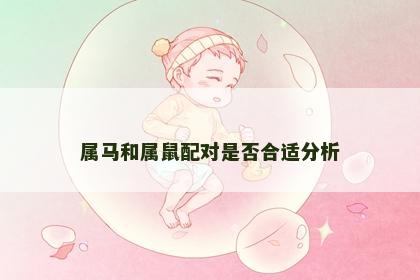 属马和属鼠配对是否合适分析