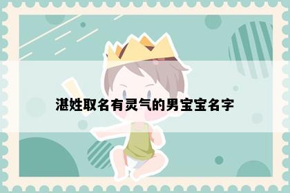 湛姓取名有灵气的男宝宝名字