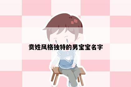 贲姓风格独特的男宝宝名字
