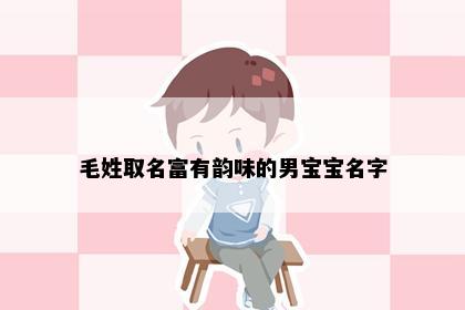 毛姓取名富有韵味的男宝宝名字