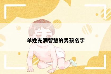 单姓充满智慧的男孩名字