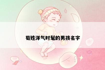 荀姓洋气时髦的男孩名字