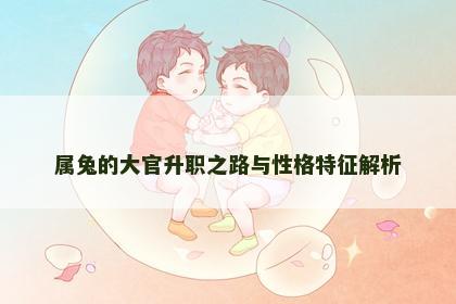 属兔的大官升职之路与性格特征解析