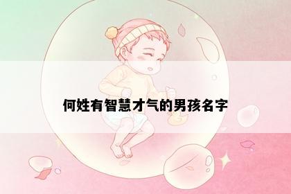 何姓有智慧才气的男孩名字