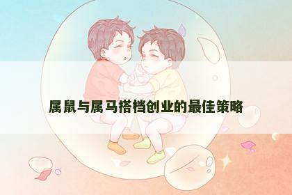 属鼠与属马搭档创业的最佳策略
