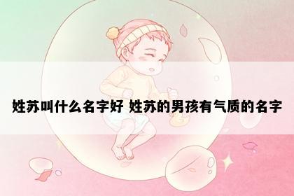 姓苏叫什么名字好 姓苏的男孩有气质的名字