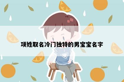 项姓取名冷门独特的男宝宝名字