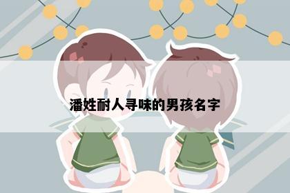 潘姓耐人寻味的男孩名字