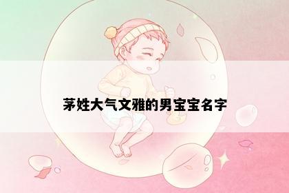 茅姓大气文雅的男宝宝名字