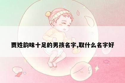 贾姓韵味十足的男孩名字,取什么名字好