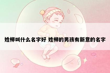 姓柳叫什么名字好 姓柳的男孩有新意的名字