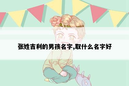 张姓吉利的男孩名字,取什么名字好