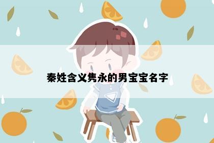 秦姓含义隽永的男宝宝名字