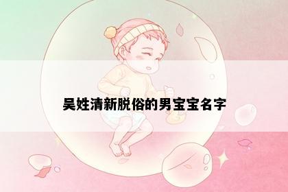 吴姓清新脱俗的男宝宝名字
