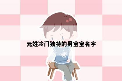 元姓冷门独特的男宝宝名字